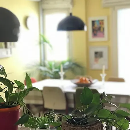 Cozy Artistic